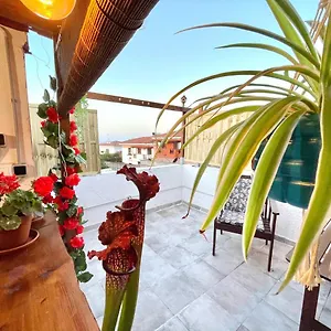 https://casa-dionea-puerto-de-la-cruz.tenerifehoteles.net